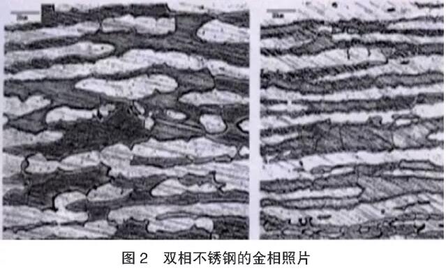 榴莲网站在线观看榴莲视频APP官网