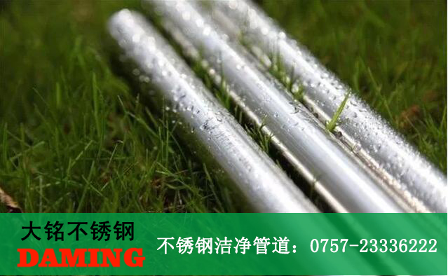 榴莲网站在线观看榴莲视频APP官网