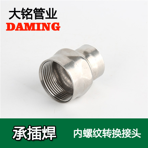 DN25*1 承插焊接式榴莲视频APP官网内螺纹转换接头（304 316L）