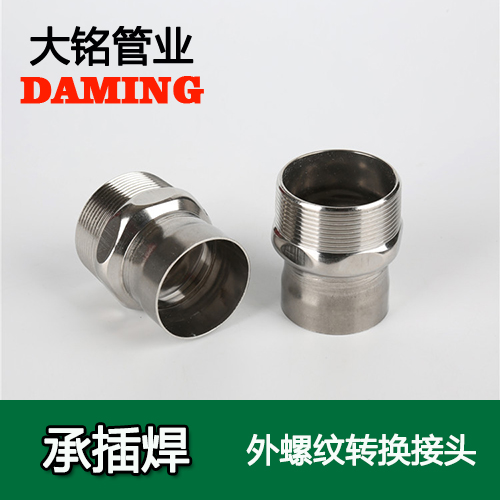 DN50*2 承插焊接式榴莲视频APP官网外螺纹转换接头（304 316L）