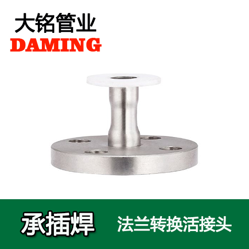 DN300 承插焊接式榴莲视频APP官网法兰转换直接头（304 316L）
