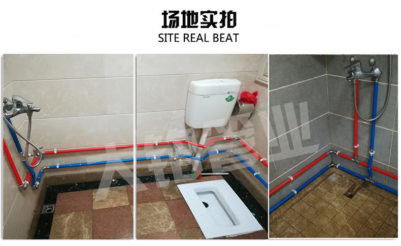 316L环压榴莲视频APP官网水管