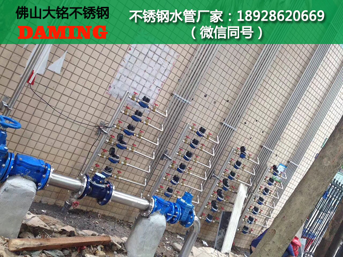 呼伦贝尔榴莲视频APP官网水管代理加盟