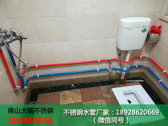 卫生级榴莲视频APP官网水管