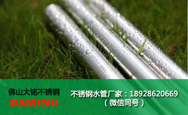 316榴莲视频APP官网卡压管