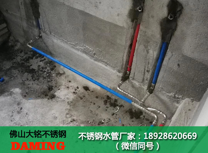 榴莲视频APP官网双卡压榴莲视频成人污版